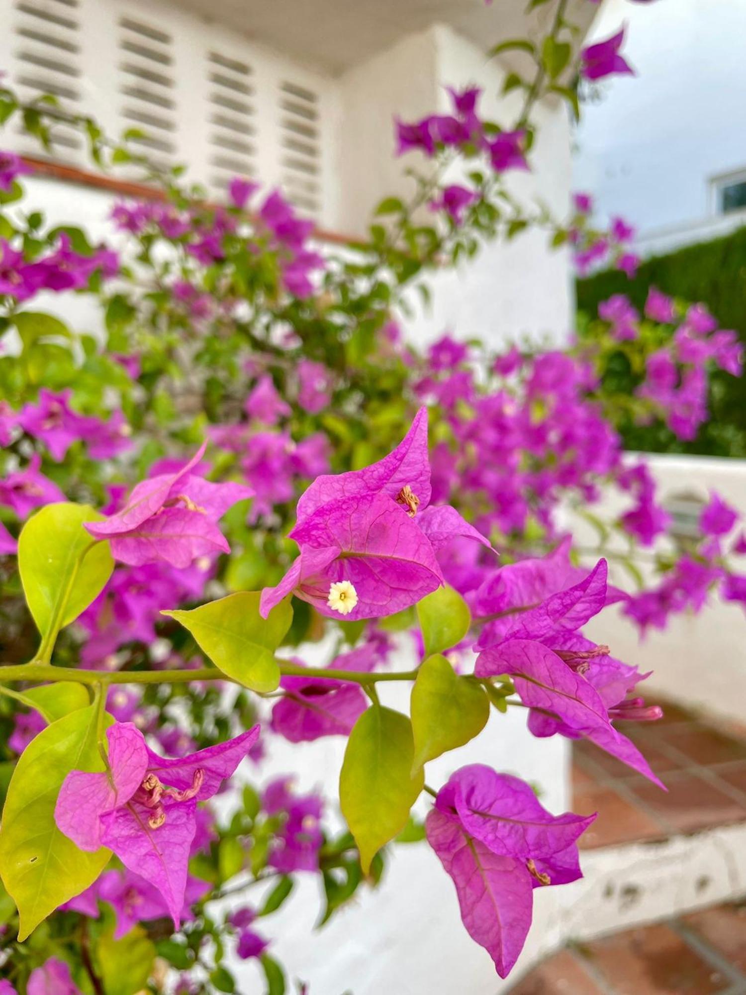 Sun Castle Apartment Фуeнхирола Екстериор снимка
